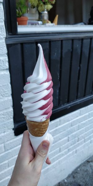 Vanilla and blueberry at Swirl in Montreal