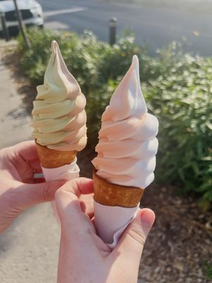   at Swirl in Montreal