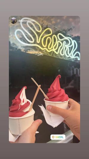 Crème glacée vegan vanille et sorbet à la camerise du Québec at Swirl in Montreal