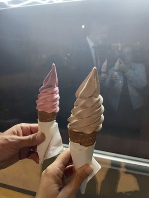 Elles ont la même taille   at Swirl in Montreal