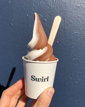 Hazelnut infused coconut and chocolat sorbet! at Swirl in Montreal