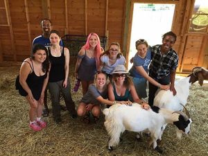 Our staff of experienced activists are here to make sure you learn how to make a bigger difference on a cause you acre about.  at YEA Camp in Hinsdale