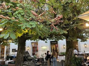 garden at Cantinetta in Solothurn