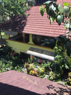 View from restaurant  at Eat.Co in Ubud