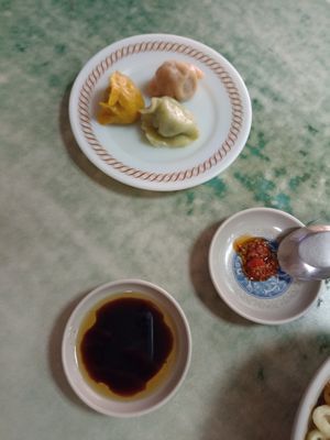 The dumplings at Lái Xīn SùShí 來欣素食手工水餃 in Taipei