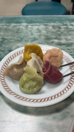 selection of dumplings at Lái Xīn SùShí 來欣素食手工水餃 in Taipei