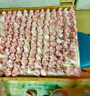 Dumplings in process...  at Lái Xīn SùShí 來欣素食手工水餃 in Taipei