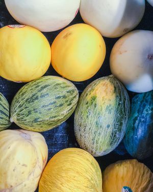 Summer Melons  at Earth Fare in Rock Hill