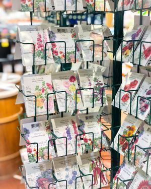 Non GMO organic seeds  at Earth Fare in Rock Hill