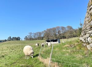  at The Field Shelter Guesthouse & Sanctuary in Blairgowrie
