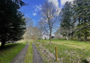  at The Field Shelter Guesthouse & Sanctuary in Blairgowrie