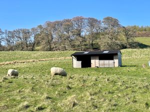 at The Field Shelter Guesthouse & Sanctuary in Blairgowrie