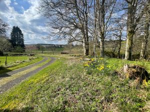  at The Field Shelter Guesthouse & Sanctuary in Blairgowrie