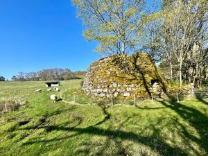  at The Field Shelter Guesthouse & Sanctuary in Blairgowrie