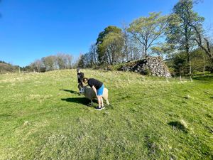  at The Field Shelter Guesthouse & Sanctuary in Blairgowrie