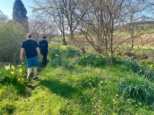  at The Field Shelter Guesthouse & Sanctuary in Blairgowrie