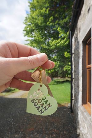 Vegan B&B at The Field Shelter Guesthouse & Sanctuary in Blairgowrie