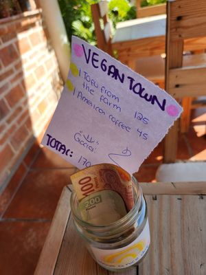  at Vegan Town in Ajijic