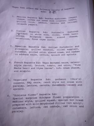 Menu, pg 2 at Vegan Town in Ajijic