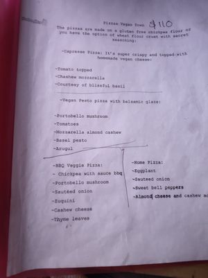 Menu, pg 3 at Vegan Town in Ajijic