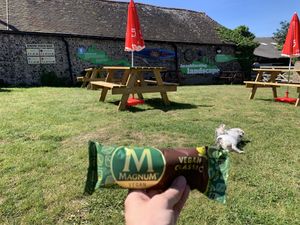 Vegan choc ices from the YHA hostel!  at South Downs YHA in Southease
