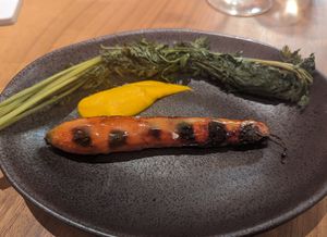  at Xavier Pellicer in Barcelona