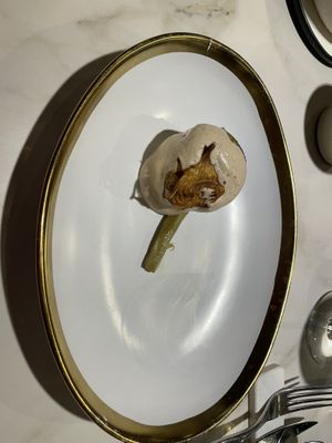   at Xavier Pellicer in Barcelona