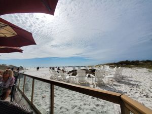  at Tate Island Grill in Clearwater Beach