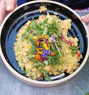  at Don Vegan in Quebec