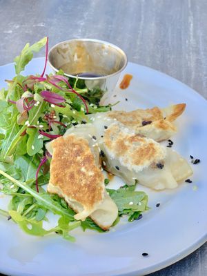 Dumplings  at Don Vegan in Quebec