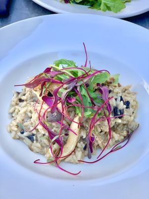 Mushroom risotto  at Don Vegan in Quebec