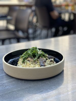 Mushroom risotto  at Don Vegan in Quebec