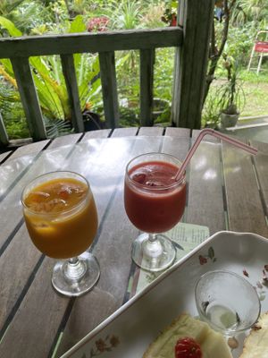   at Barabido Tourist Farm in Ishigaki