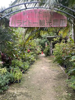   at Barabido Tourist Farm in Ishigaki