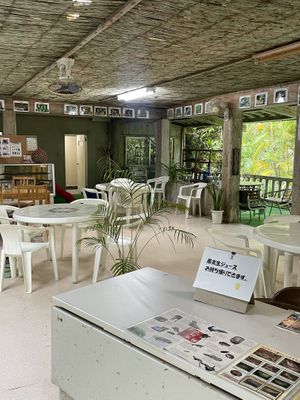   at Barabido Tourist Farm in Ishigaki