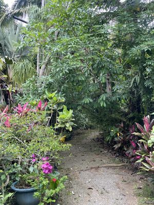   at Barabido Tourist Farm in Ishigaki