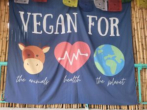 ! at Pernera in Patmos