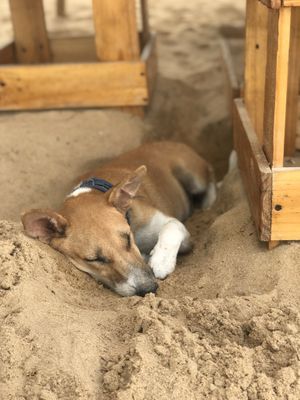 Lazy days at The BNKR at The BNKR - Maybe closed in Kalpitiya