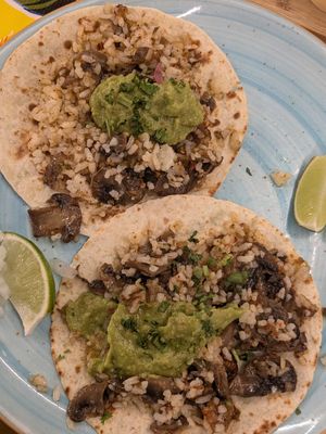  at Ay Chihuahua in Torre De La Horadada