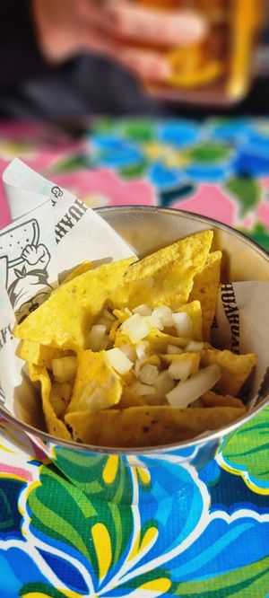  at Ay Chihuahua in Torre De La Horadada