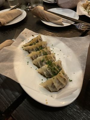   at Dorshi in Bridport