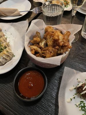   at Dorshi in Bridport