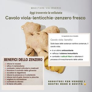 Vegan hot creamy soups every day in winter season, also TO GO ☺️👍 - follow us on Instagram (nectarejuices2) or Facebook (Nectare via Irnerio) for the dishes/menu of the day at Nectare 2 in Bologna