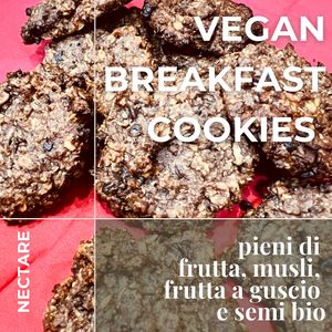 Many vegan cookies to choose from ❤️ at Nectare 2 in Bologna