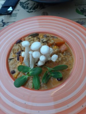 Orzotto at Pandora Greenbox in Split