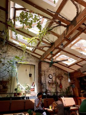 Interior at Pandora Greenbox in Split