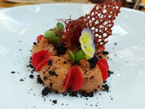 Appetizer Robin right (with dry tomatoes) : tasty and not acid at Pandora Greenbox in Split