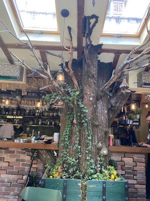 Restaurante  at Pandora Greenbox in Split