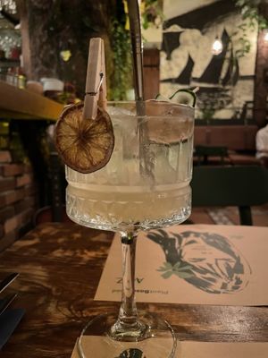 Cocktails at Pandora Greenbox in Split