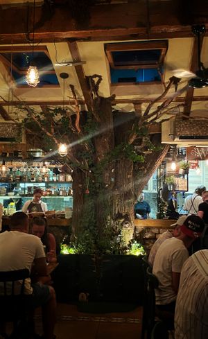   at Pandora Greenbox in Split